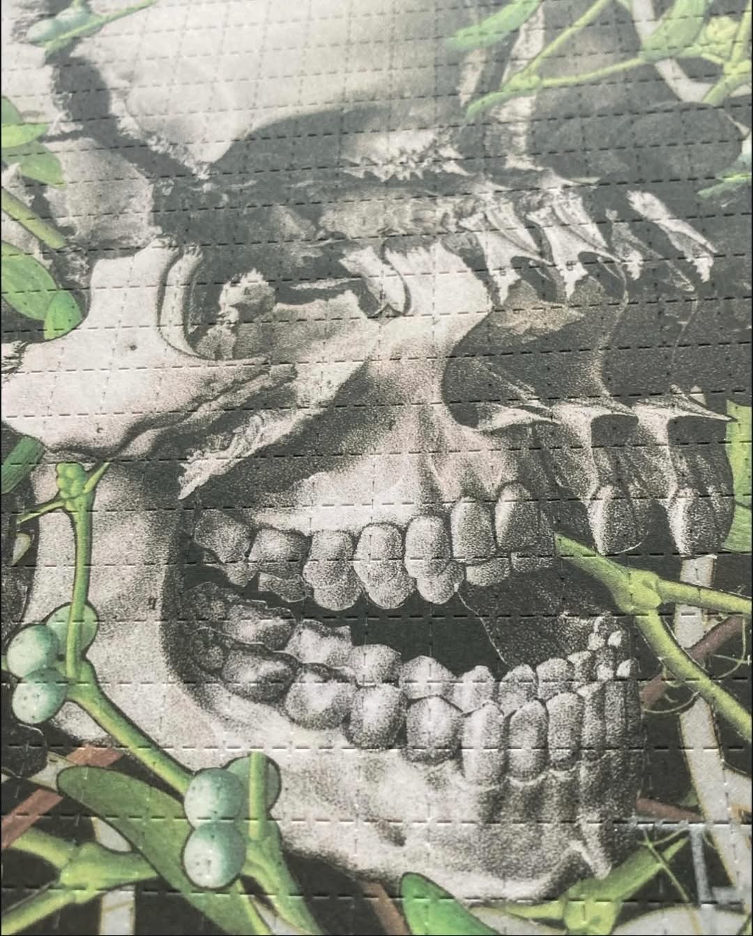 IMG_8842 Lsd (Acid Blotter) 300ug - Image 9