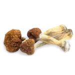 Vietnamese Magic Mushrooms 150x150